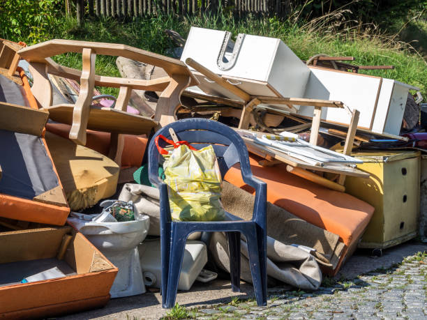 Best Professional Junk Removal  in Lambertville, MI