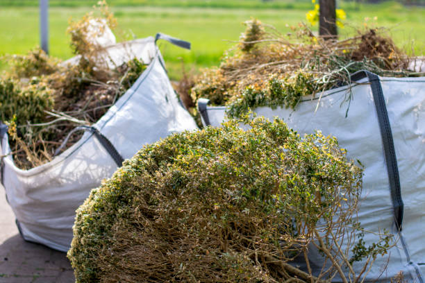 Best Appliance Removal Near Me  in Lambertville, MI